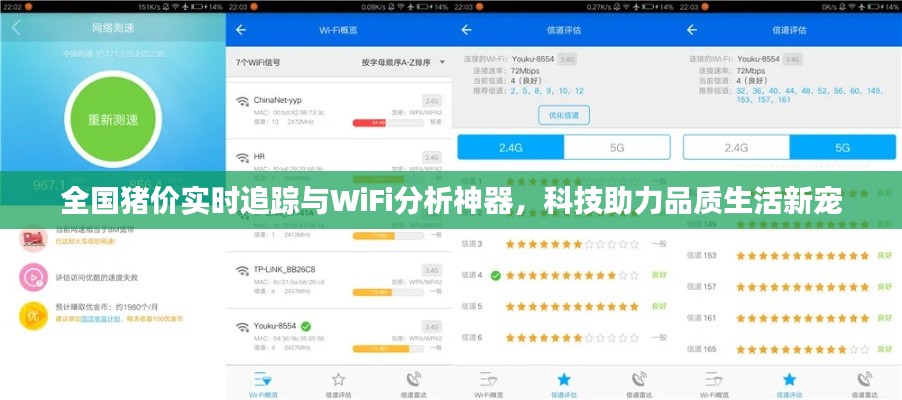 全国猪价实时追踪与WiFi分析神器，科技助力品质生活新宠
