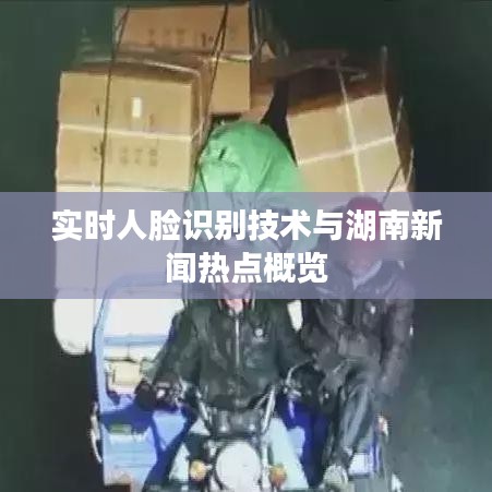 2026年3月12日 第5页