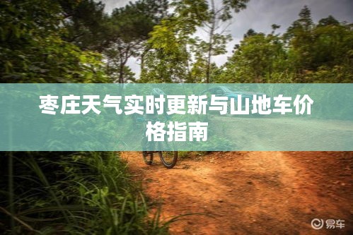 枣庄天气实时更新与山地车价格指南