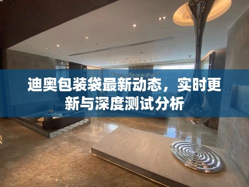 迪奥包装袋最新动态，实时更新与深度测试分析