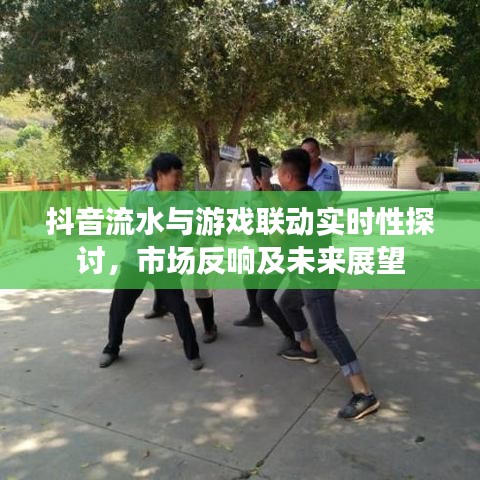 抖音流水与游戏联动实时性探讨,市场反响及未来展望