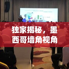 独家揭秘，墨西哥墙角视角下的深圳二手房市场风云与价格走势之谜