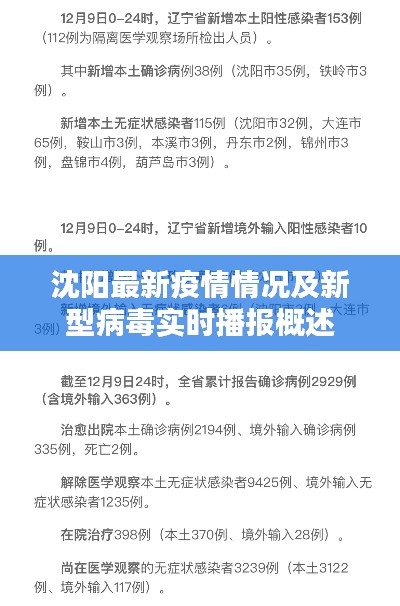 沈阳最新疫情情况及新型病毒实时播报概述