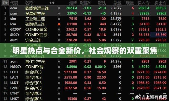 明星热点与合金新价,社会观察的双重聚焦