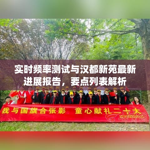 实时频率测试与汉都新苑最新进展报告，要点列表解析