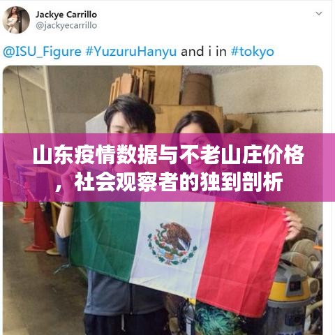 山东疫情数据与不老山庄价格,社会观察者的独到剖析