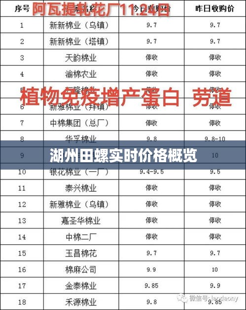 湖州田螺实时价格概览