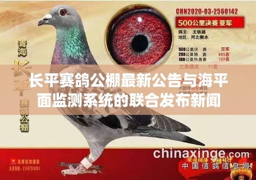 长平赛鸽公棚最新公告与海平面监测系统的联合发布新闻