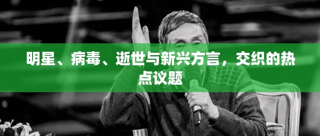 明星、病毒、逝世与新兴方言，交织的热点议题