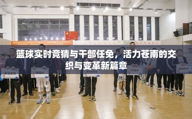 篮球实时竞猜与干部任免，活力苍南的交织与变革新篇章