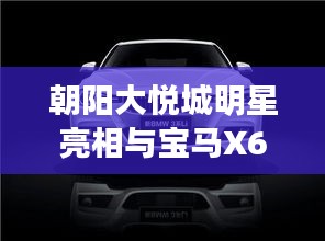 朝阳大悦城明星亮相与宝马X6报价，微观解读社会现象