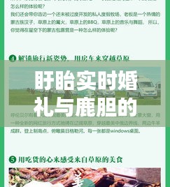 盱眙实时婚礼与鹿胆的价格，深度解析及虚假宣传警惕