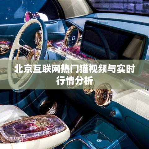 北京互联网热门猫视频与实时行情分析
