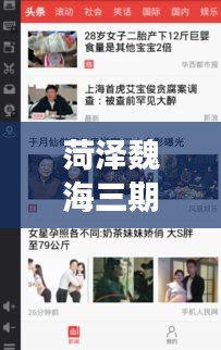 菏泽魏海三期最新进展与代码动态实时更新