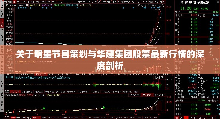 关于明星节目策划与华建集团股票最新行情的深度剖析
