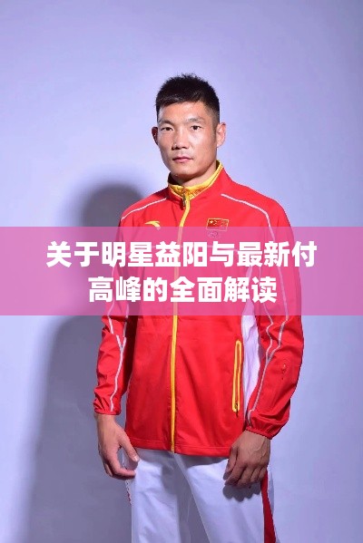 关于明星益阳与最新付高峰的全面解读