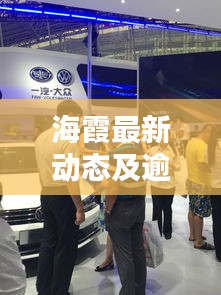 海霞最新动态及逾期上报实时更新，深度解析与最新资讯