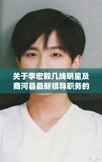关于李宏毅几线明星及商河县最新领导职务的分析解读