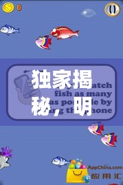 独家揭秘，明星内衣背后的秘密与僵尸捕鱼游戏最新动态揭秘