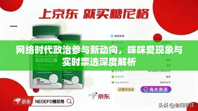 网络时代政治参与新动向，咪咪爱现象与实时票选深度解析