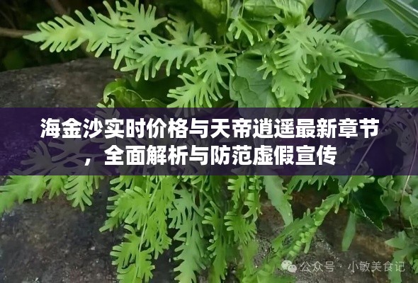 海金沙实时价格与天帝逍遥最新章节,全面解析与防范虚假宣传