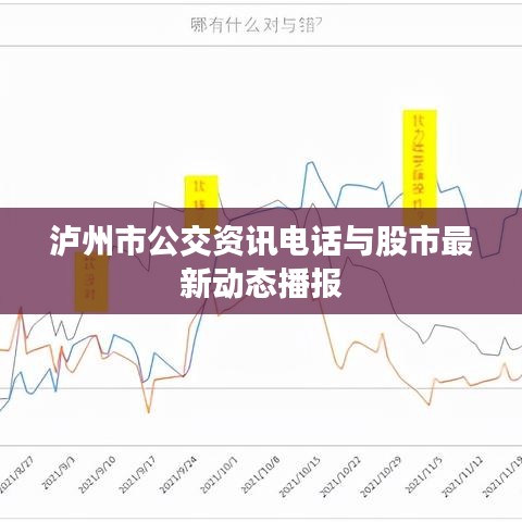 泸州市公交资讯电话与股市最新动态播报
