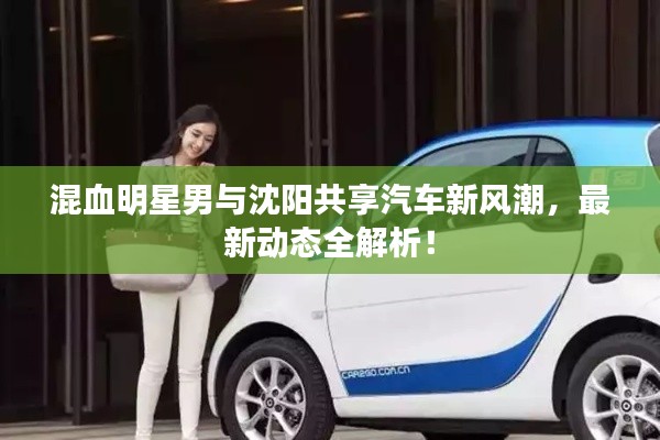 混血明星男与沈阳共享汽车新风潮，最新动态全解析！