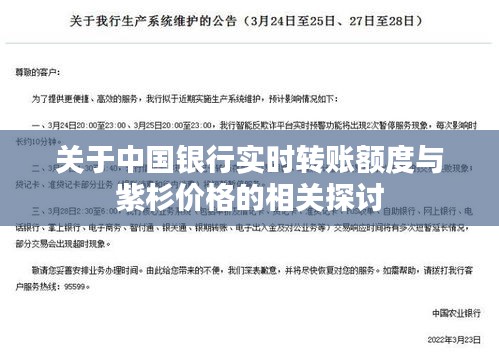 关于中国银行实时转账额度与紫杉价格的相关探讨