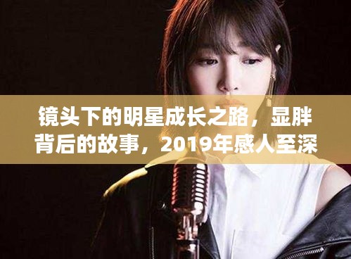 镜头下的明星成长之路,显胖背后的故事,2019年感人至深的心语