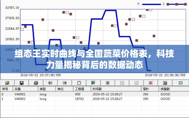组态王实时曲线与全国蔬菜价格表,科技力量揭秘背后的数据动态