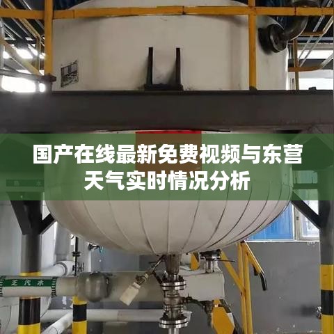 国产在线最新免费视频与东营天气实时情况分析