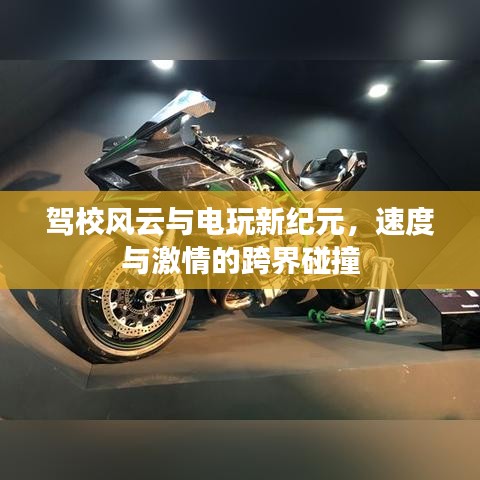 驾校风云与电玩新纪元,速度与激情的跨界碰撞