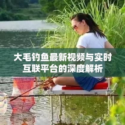 大毛钓鱼最新视频与实时互联平台的深度解析