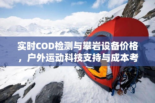实时COD检测与攀岩设备价格，户外运动科技支持与成本考量分析