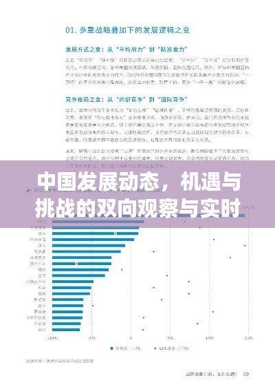 中国发展动态，机遇与挑战的双向观察与实时预言分析
