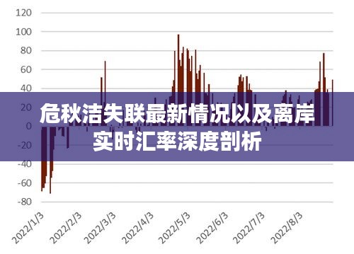 危秋洁失联最新情况以及离岸实时汇率深度剖析