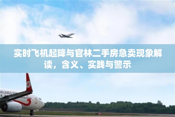 实时飞机起降与官林二手房急卖现象解读，含义、实践与警示