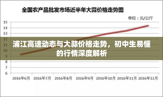 浦江高速动态与大蒜价格走势,初中生易懂的行情深度解析