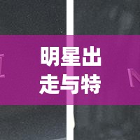 明星出走与特斯拉毛豆y新动态，热点话题解析