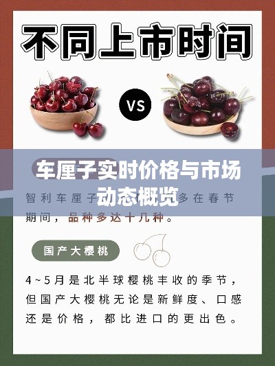 车厘子实时价格与市场动态概览