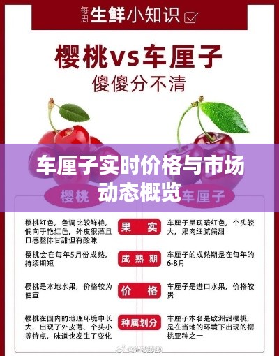 车厘子实时价格与市场动态概览