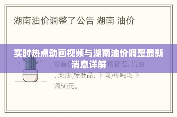 实时热点动画视频与湖南油价调整最新消息详解