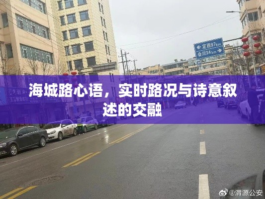 海城路心语，实时路况与诗意叙述的交融