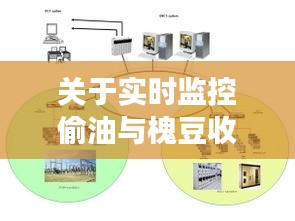 关于实时监控偷油与槐豆收购价格的深度剖析