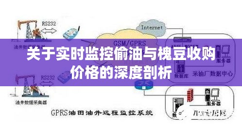关于实时监控偷油与槐豆收购价格的深度剖析