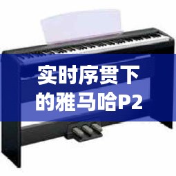 实时序贯下的雅马哈P255电子钢琴价格深度解析