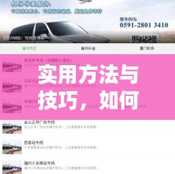 实用方法与技巧,如何查询最新实时大巴位置信息