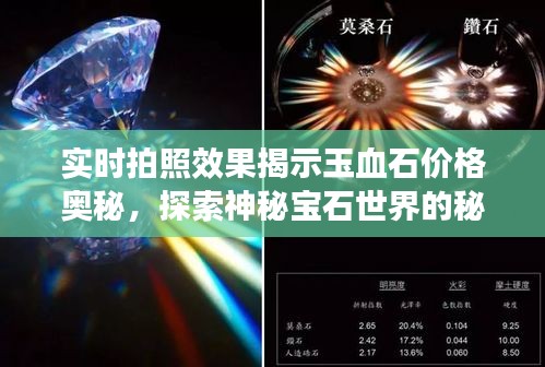 实时拍照效果揭示玉血石价格奥秘,探索神秘宝石世界的秘密