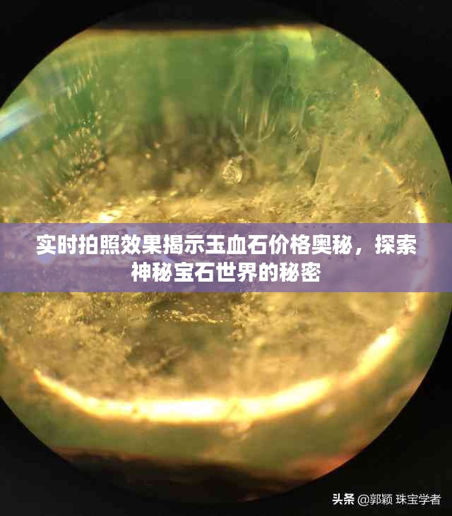 实时拍照效果揭示玉血石价格奥秘,探索神秘宝石世界的秘密
