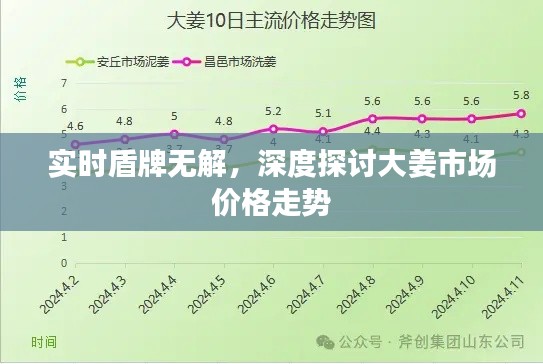 实时盾牌无解,深度探讨大姜市场价格走势